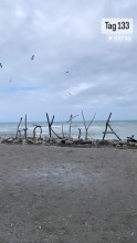 Tag 133: Hokitika